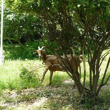 Hotel Briz 3 - Free Parking 2*