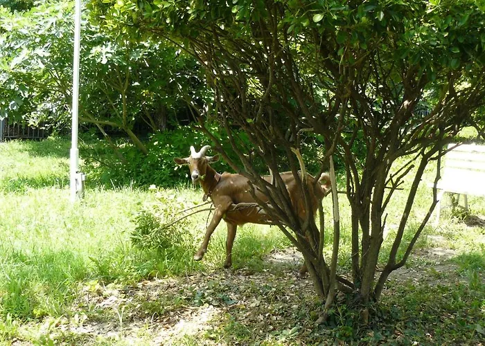 Hotel Briz 3 - Free Parking 2*